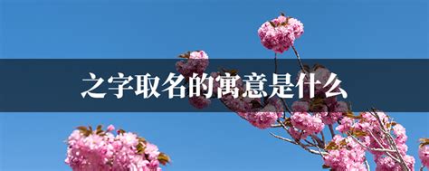 之名字意思|之字取名的寓意